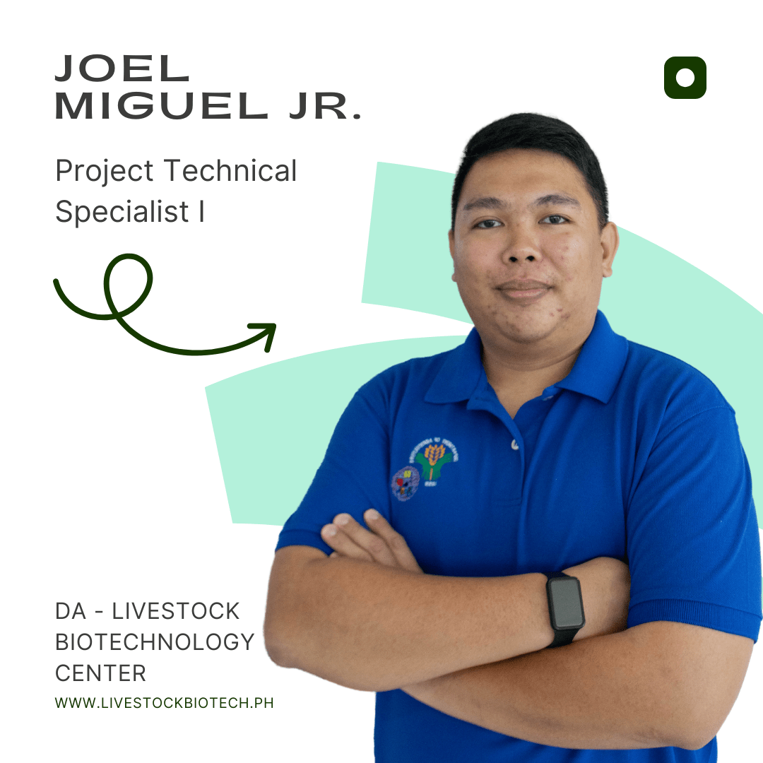 Joel Miguel Jr.